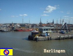 info Harlingen